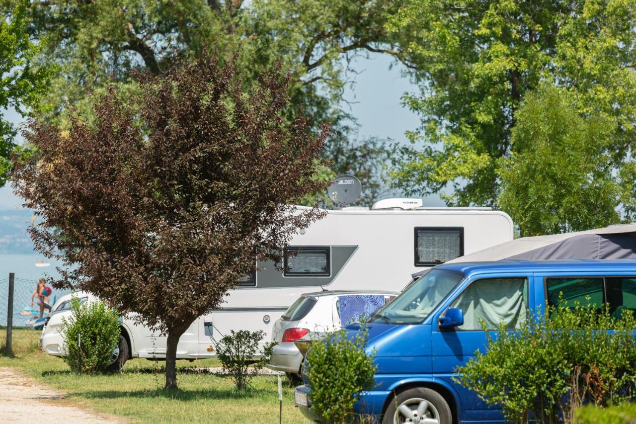 Campsite Aranypart & 2*
